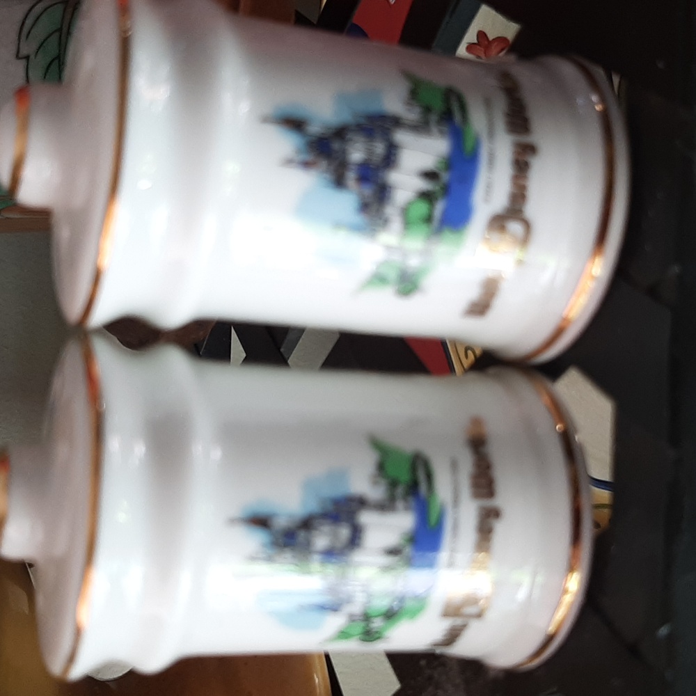 Walt Disney World Salt and Pepper Shakers